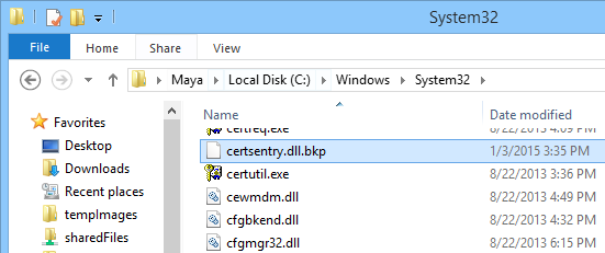 establishing-secure-connection-dll-file-renamed