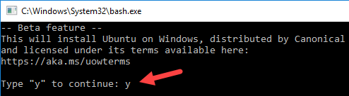 bash on Windows 10 accept terms