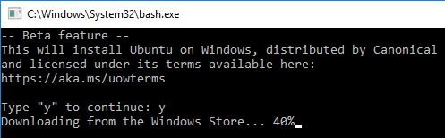 bash on Windows 10 downloading