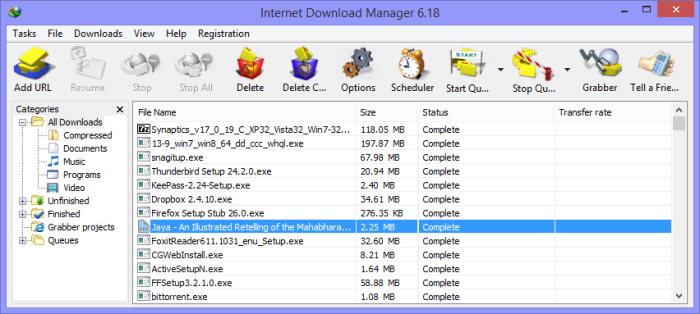 Internet download manager