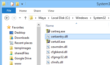 establishing-secure-connection-find-dll-file