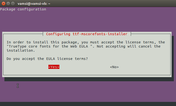 install-microsoft-fonts-ubuntu-accept-terms