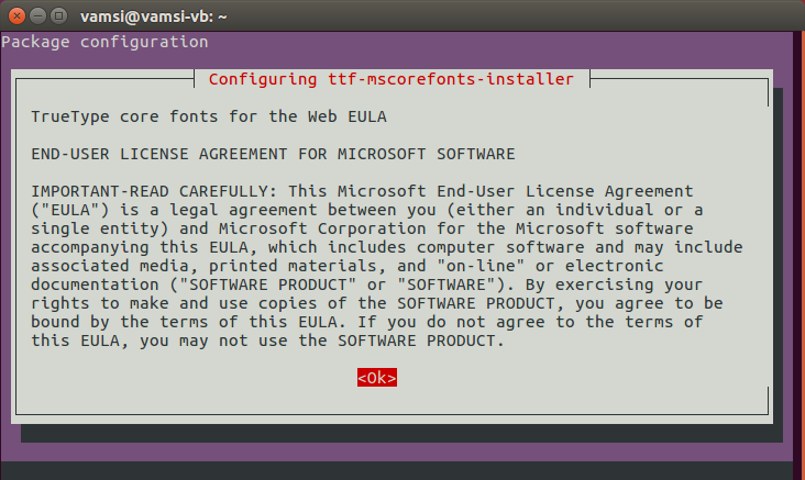 install-microsoft-fonts-ubuntu-read-terms