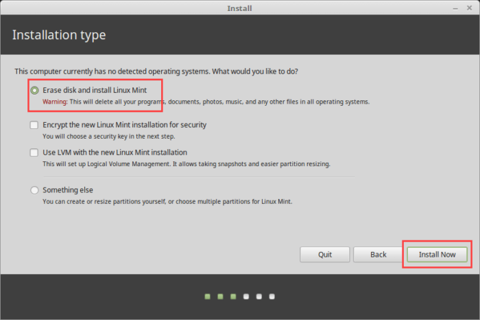 Install Linux Mint in VirtualBox - Select Erase Hard Disk Option