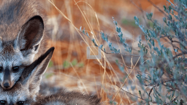 How to Create an Invisible Folder in Windows